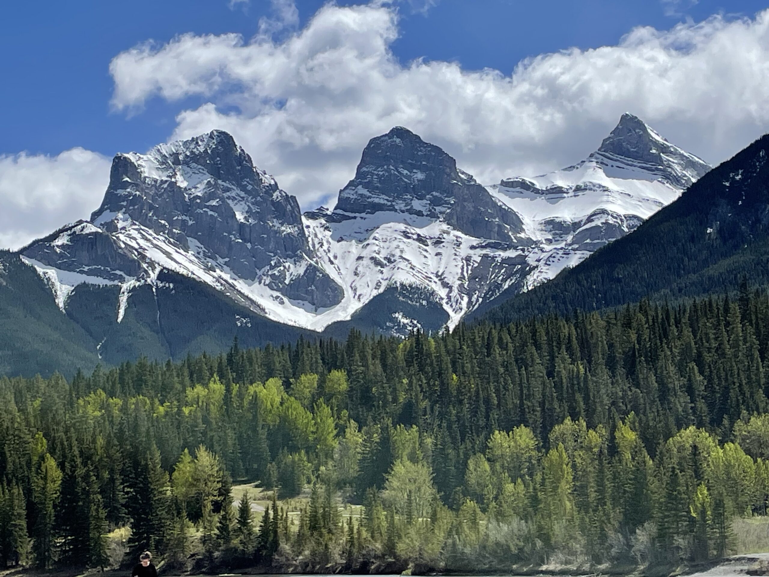 Member Cover Photo