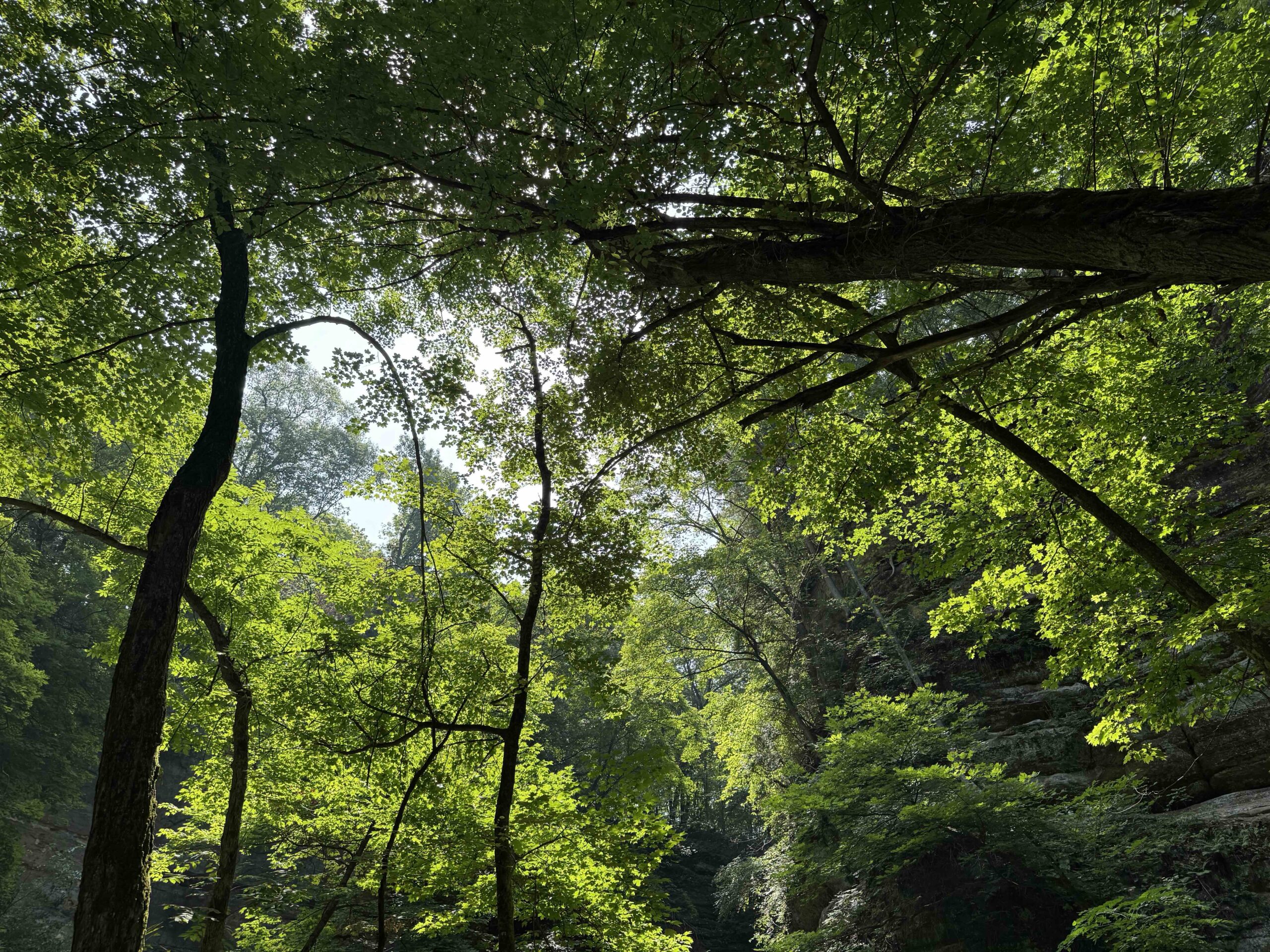 Member Cover Photo