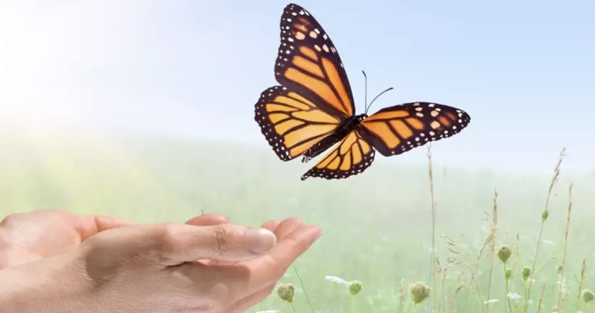 Member Cover Photo