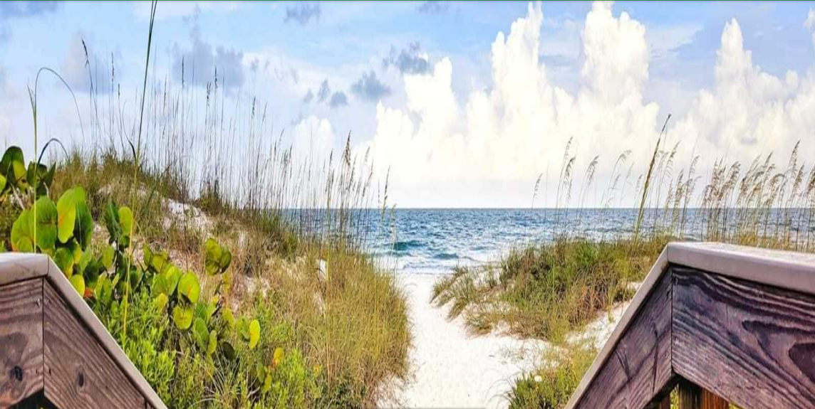 Member Cover Photo