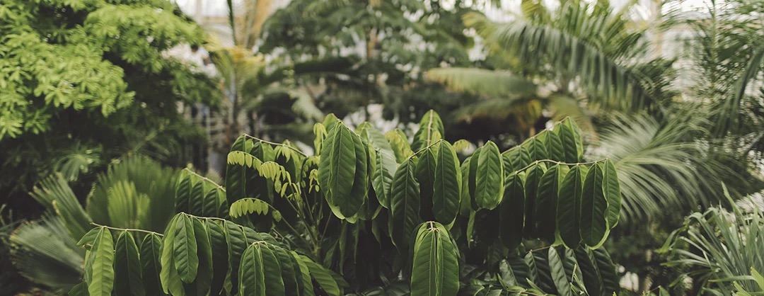Member Cover Photo